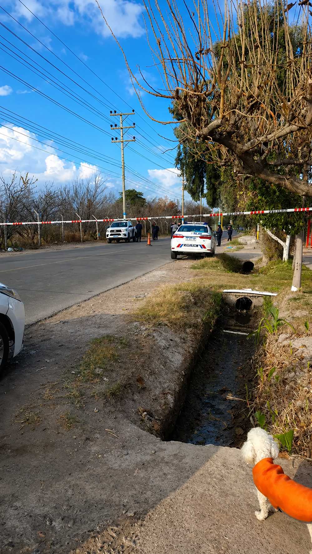 Tragedia en Rawson: un joven perdió la vida tras chocar a bordo de su moto contra un poste de luz. Imagen mejorada con IA.&nbsp;