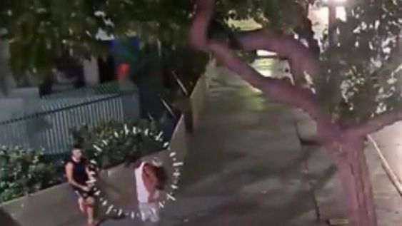 [VIDEO] El momento de la detención del ladrón que atacó a un hombre en una rotisería