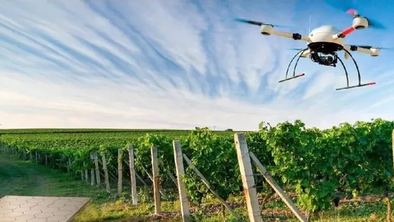 Los nuevos desafíos de los ingenieros agrónomos 2022