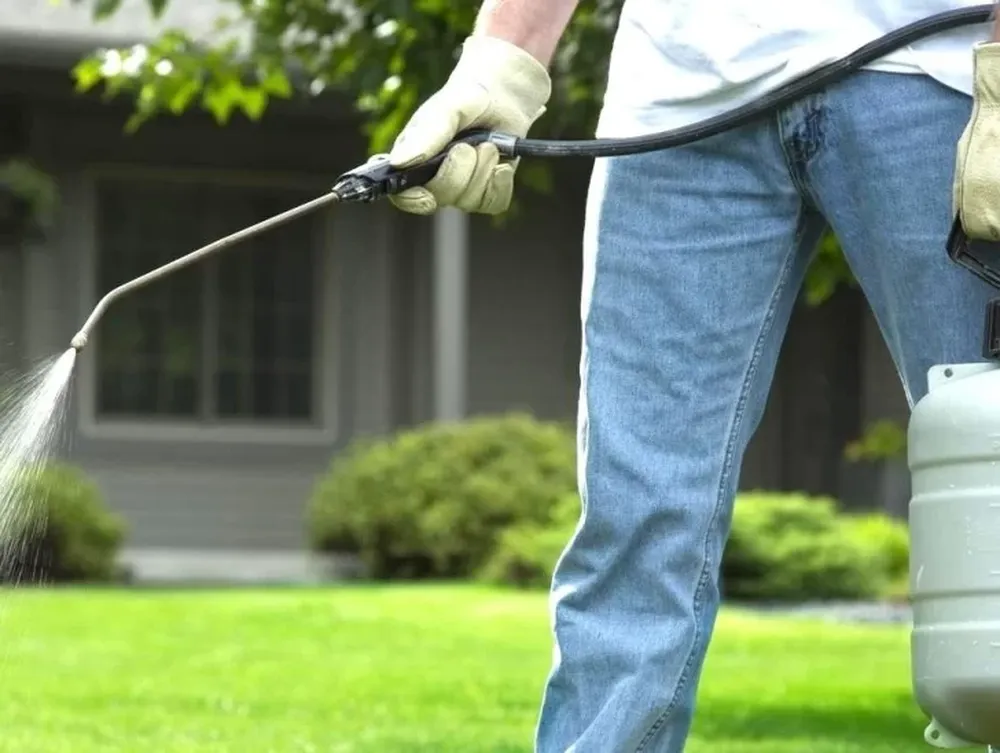 La fumigación tras la poda