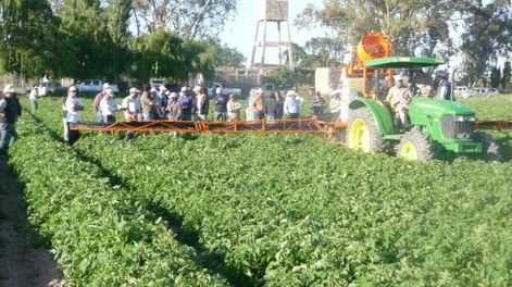 Presentan a campo una máquina pulverizadora para hortalizas