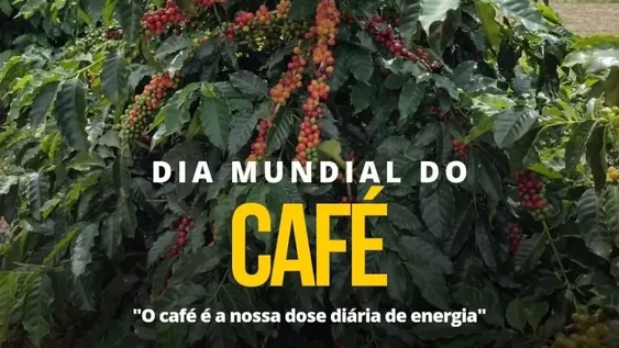 Día Internacional del Café