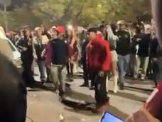 [videos] batalla campal en un boliche sanjuanino: se pelearon adentro y la siguieron afuera