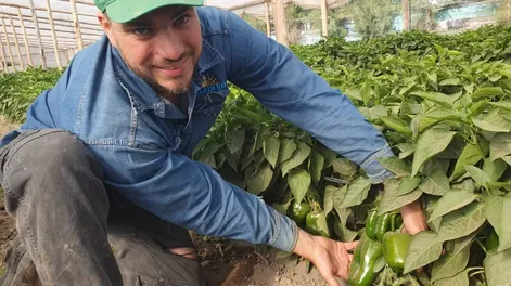 Crece agroemprendimiento de jóvenes locales en Santa Lucía