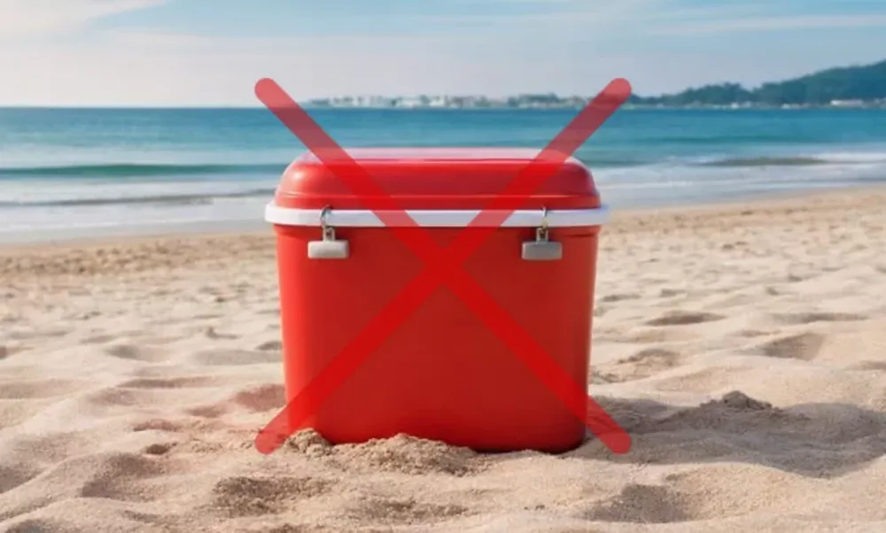 Cuál es la nueva alternativa que llegó para reemplazar a este clásico del verano.