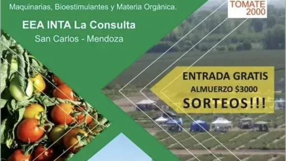 Día de Campo de Tomate 2000, el 16/2