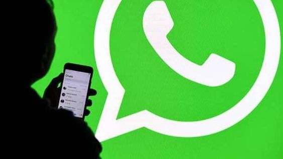 WhatsApp: qué hacer cuando no llegan los mensajes hasta que no se abre la app
