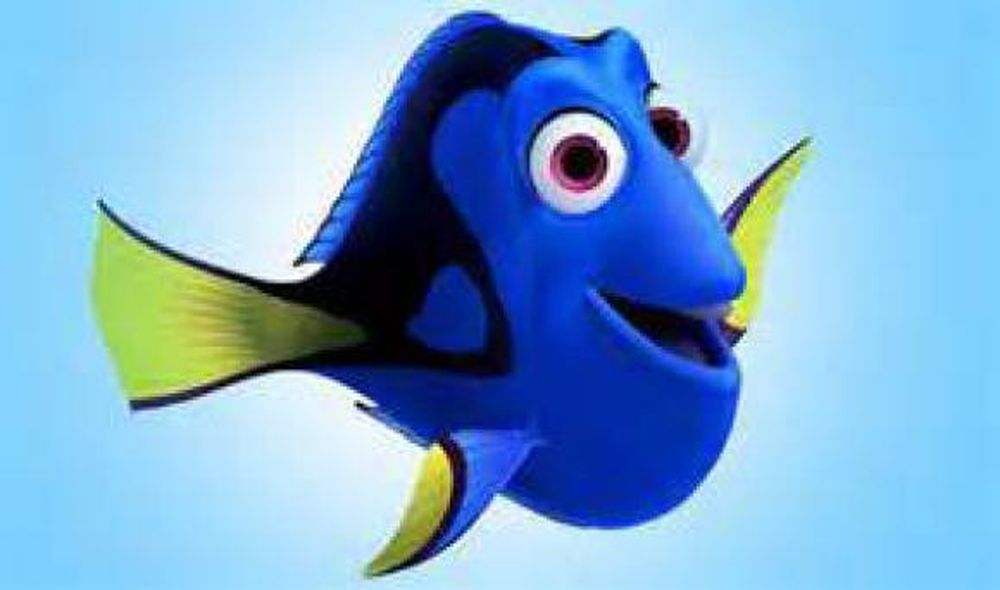 Dory superstar
