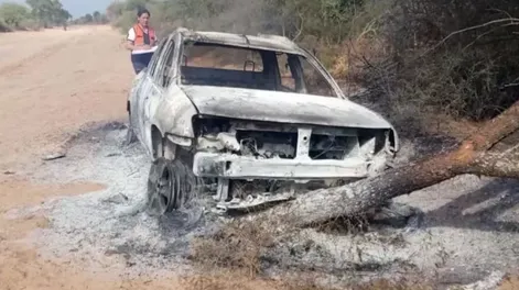 Iba al cementerio a visitar la tumba de su madre, lo atacó un enjambre de abejas, chocó y murió calcinado