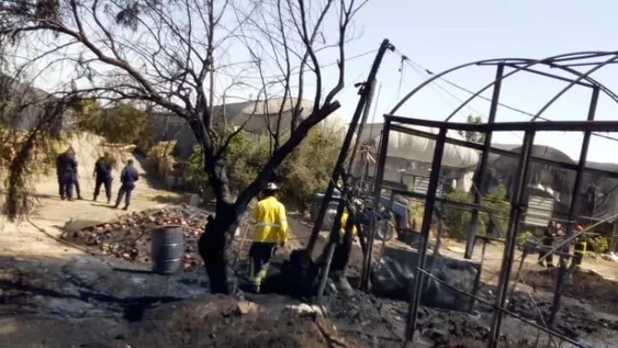 Un incendio de grandes proporciones causó estragos en un reconocido vivero