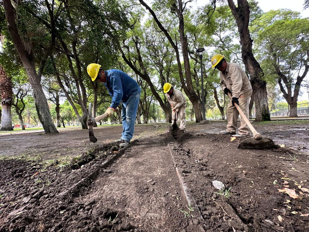 Ya comenzaron los trabajos para volver&nbsp; echar a andar el histórico trencito del Parque de Mayo.