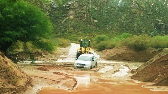 [VIDEOS] Un temporal en Jáchal afectó los cultivos en varias localidades