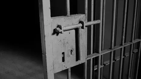 Robó un celular de alta gama, lo vendió por $30 mil y terminó detenido en una persecución