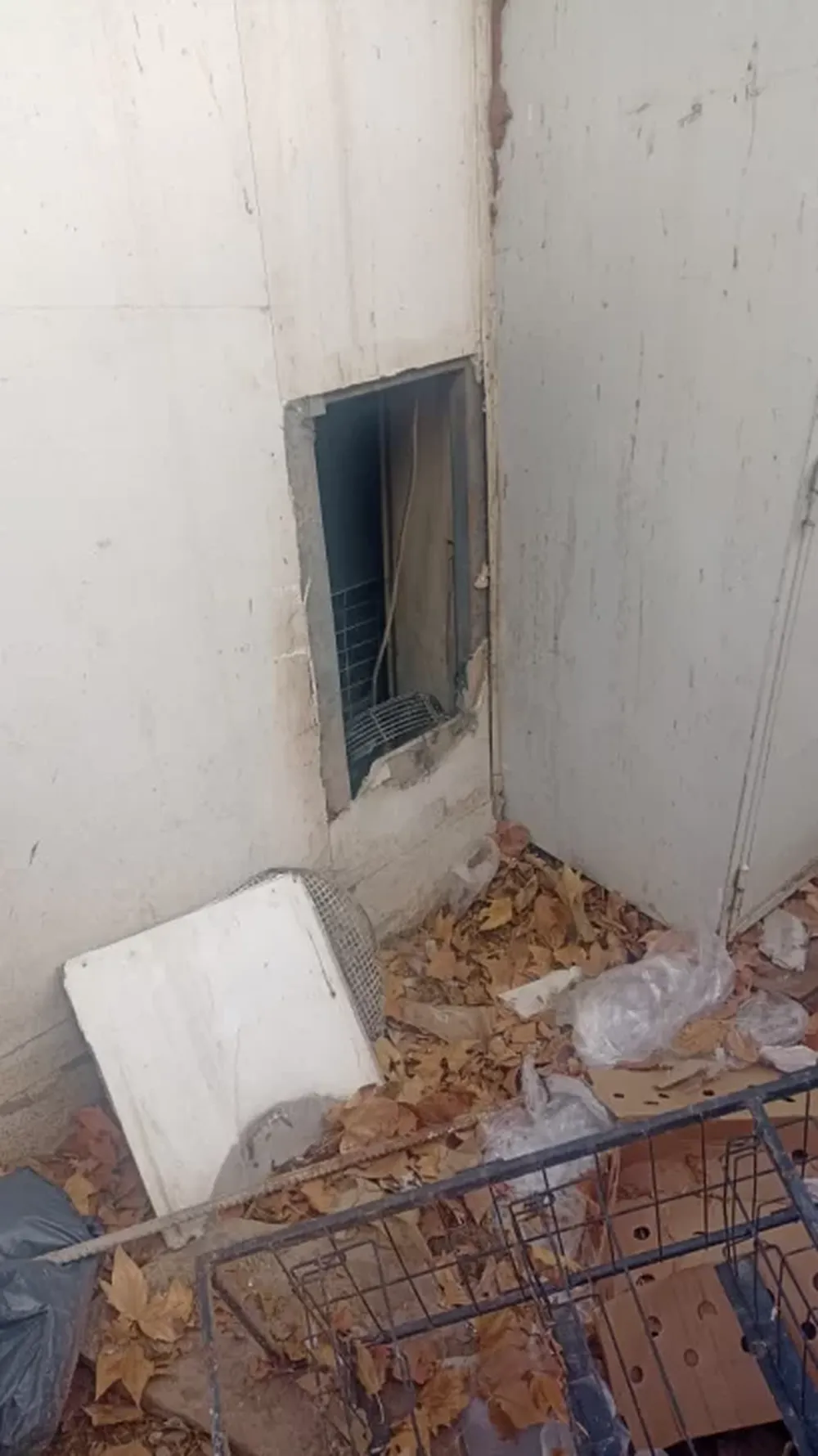 El boquete por donde ingresó el ladrón.