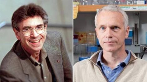 Dos estadounidenses, premiados con el Nobel de Química