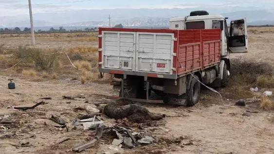 Amante de los caballos, quiso esquivar uno que se le cruzó en la calle, chocó y falleció
