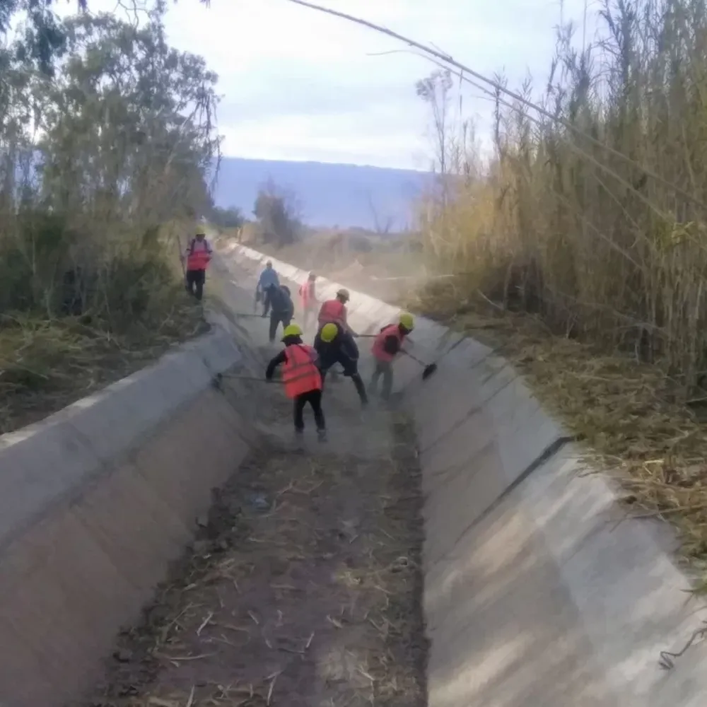 Avanza a buen ritmo el trabajo de monda en los canales de riego