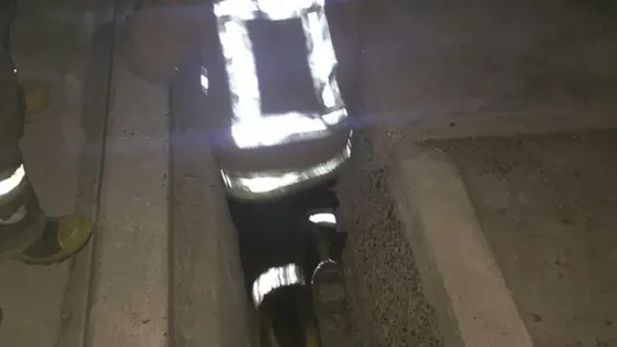 Impresionante operativo de bomberos para rescatar cachorros de una acequia