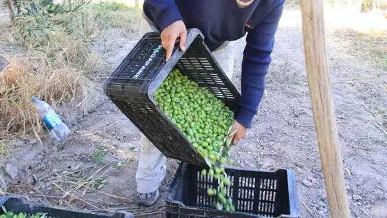 Un nuevo decreto nacional beneficia a 8 productos exportables y encarece a 4