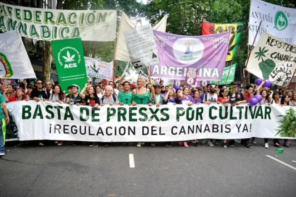Salud creó nueva categoría de productos a base de cannabis: de qué se trata