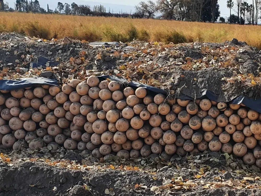 Guardar para el invierno