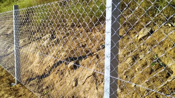 Un hombre usó a su hijo de 8 años para intentar robar un alambrado