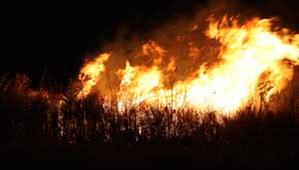 El viento Zonda ya causó 37 incendios y otros daños