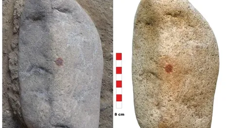 Hallan la huella dactilar más antigua del mundo: es la de un neandertal que vivió de hace 43 mil años