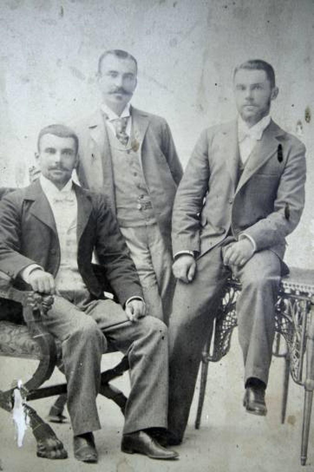 Unión de raíces