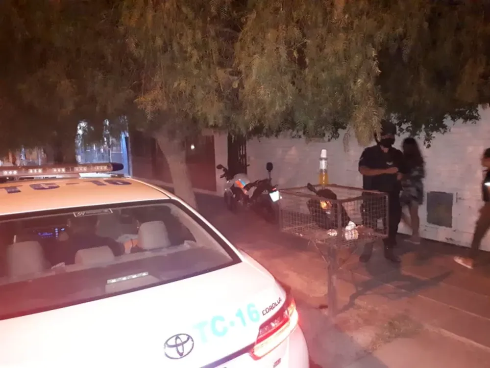 Le robó a su ex y hasta la mordió cuando ella intentó recuperar el celular y la billetera