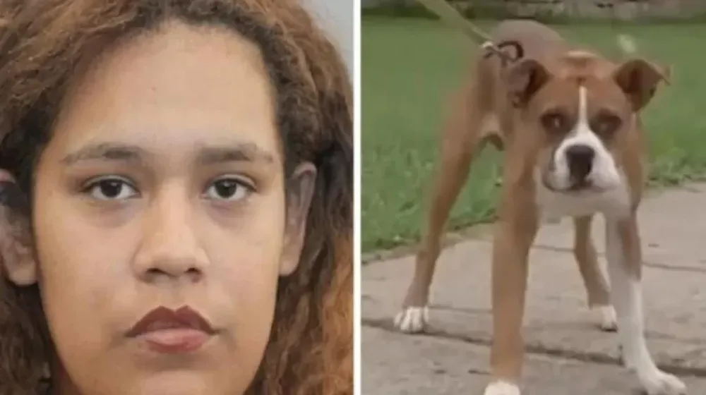 Mujer disparó tres veces contra un perro que corría por la calle y una de las balas impactó en su hijo