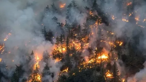 Más de 2,7 millones de hectáreas fueron arrasadas por los incendios en Canadá