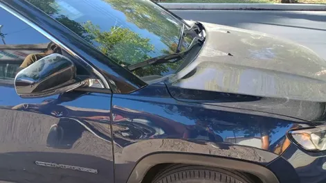 Una nena bajó del colectivo y fue atropellada cuando cruzaba la calle corriendo