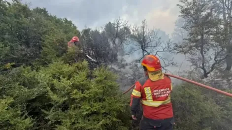 Los incendios en Chubut no dan tregua y ya consumieron más de 40 mil hectáreas