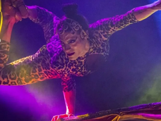 Últimas funciones en la provincia, el Circo Safari anuncia su despedida de la Agenda Cultural de San Juan Últimas funciones en la provincia, el Circo Safari anuncia su despedida de la Agenda Cultural de San Juan