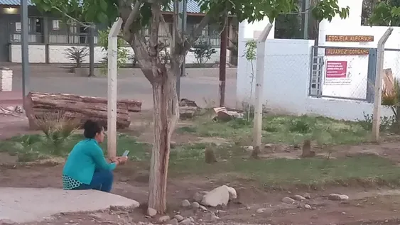 Problemas en la escuela que da wifi a todos