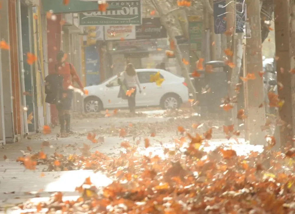 Emiten alerta por viento Zonda