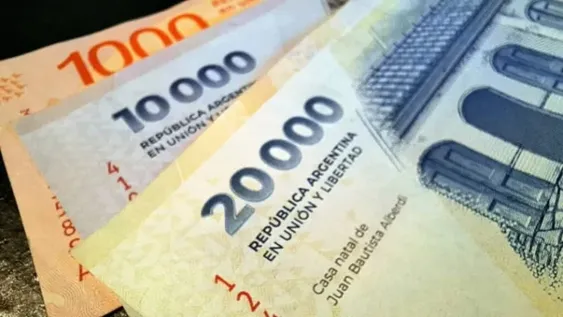 Jubilaciones de ANSES: ¿Cuánto van a cobrar los beneficiarios de la mínima y la máxima en enero?