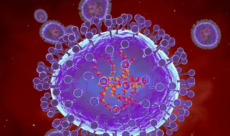 Qué es y cómo se contagia el metapneumovirus humano que se expande en China