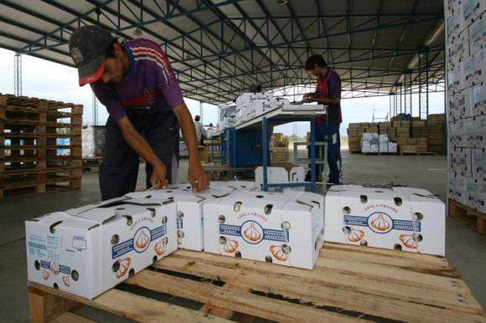 El “Programa Valorar” capacitará en San Juan