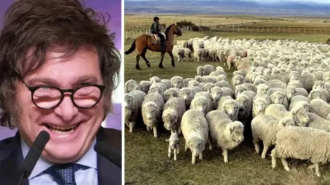 Milei anunció que en junio vuelven a subir las retenciones al campo: “Liquiden ahora”