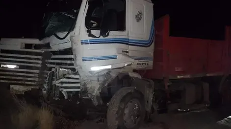 Un caballo sobre la ruta provocó el choque frontal entre el camión y el micro que se cobró la vida de un exconcejal