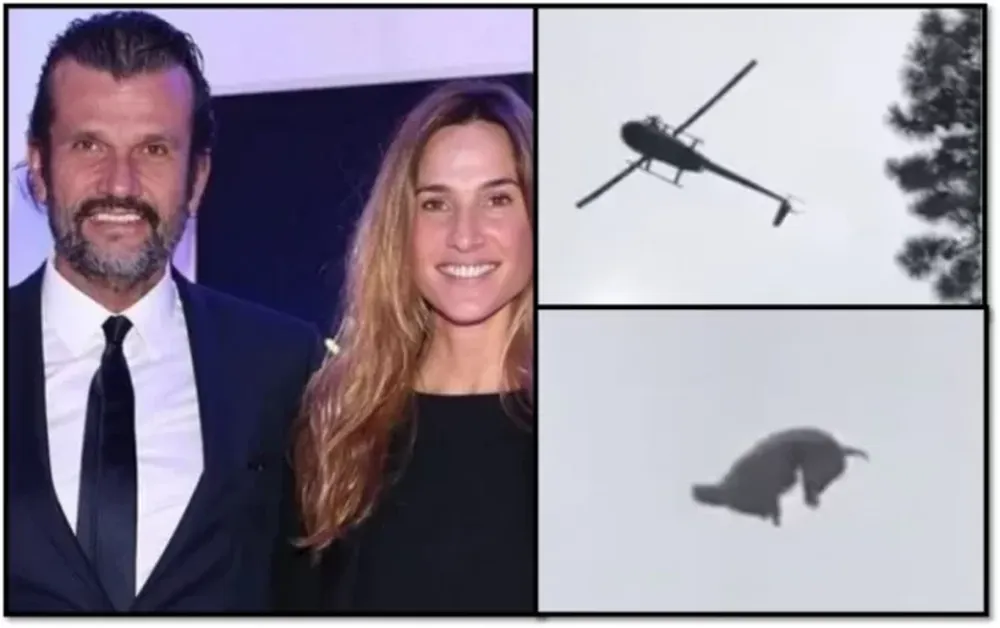 La historia detrás del cerdo que tiraron a una pileta