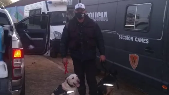 La esperanza de un sanjuanino que viajó con dos perras entrenadas a buscar a Guadalupe