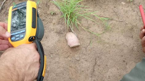 Ambiente logró tomar imágenes termográficas inéditas de un pichiciego que apareció en la Reserva Valle Fértil.
