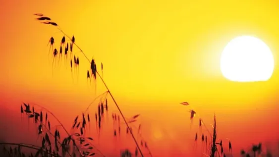 La ONU alerta de que el 2017 será uno de los años más calurosos de la historia