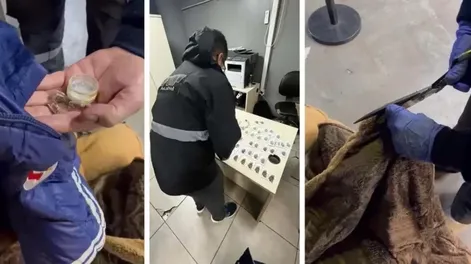 Camuflado entre chilenos que llegaban en un tour de compras, un argentino intentó ingresar al país 1.620 semillas de marihuana