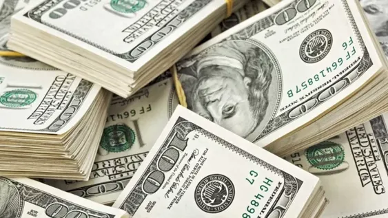 El dólar cerró casi estable a $20,56