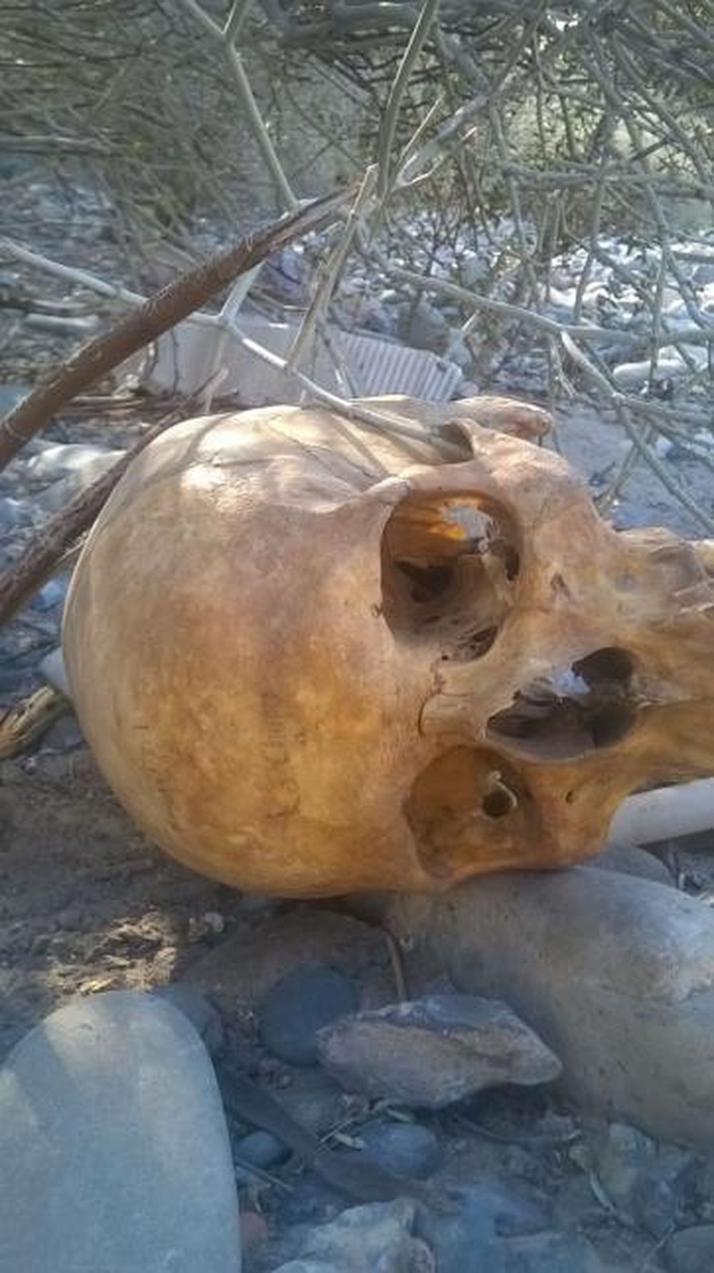 Otra vez aparece un cráneo en una “zona de brujerías”
