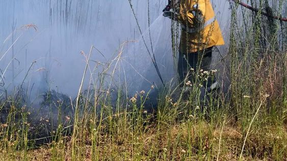 Incendios: tras la polémica entre Nación y Corrientes, Cabandié mandó a un secretario